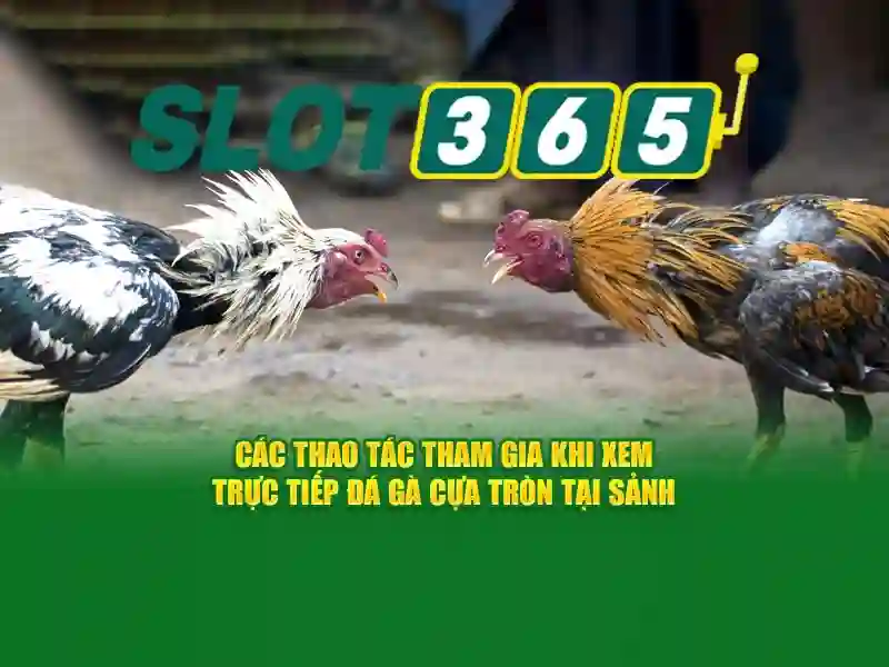 Nền Tảng Slot2026 Đỉnh Cao