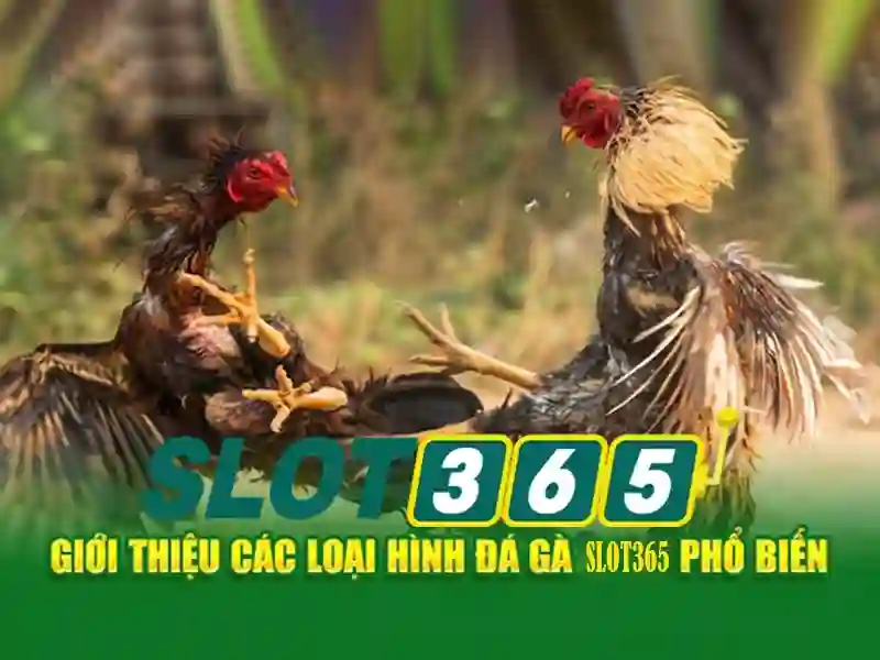 Hướng Dẫn Đăng Ký Và Nạp Tiền Tại SLOT365