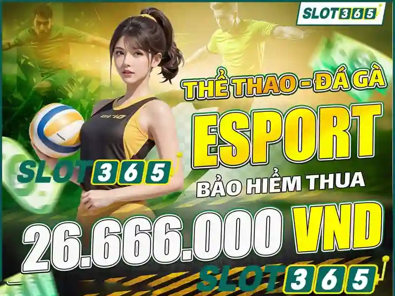 Trải Nghiệm Slot365