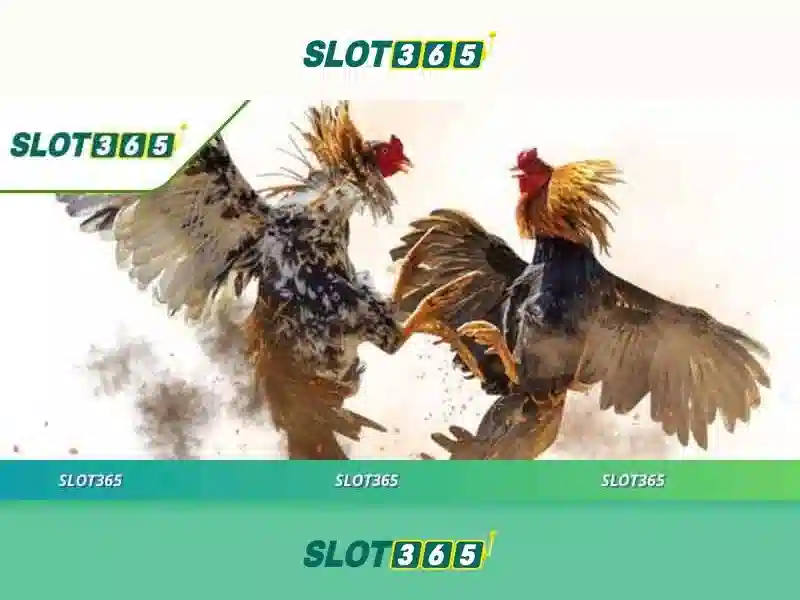 Khuyến Mãi Slot365 Tang 200k