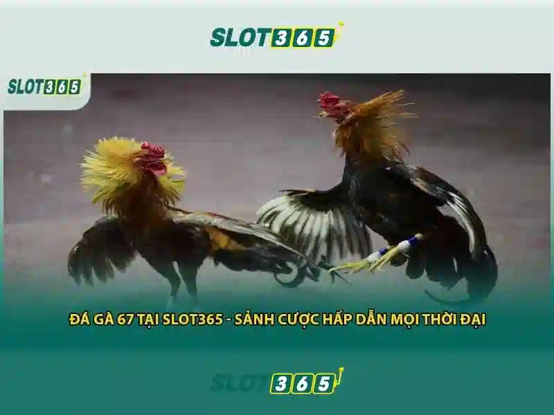 Cách chơi slot game Slot365