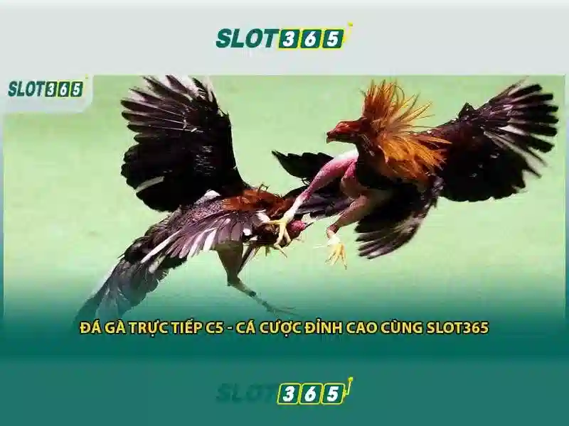 Kho Games Slot365 Win Đỉnh Cao