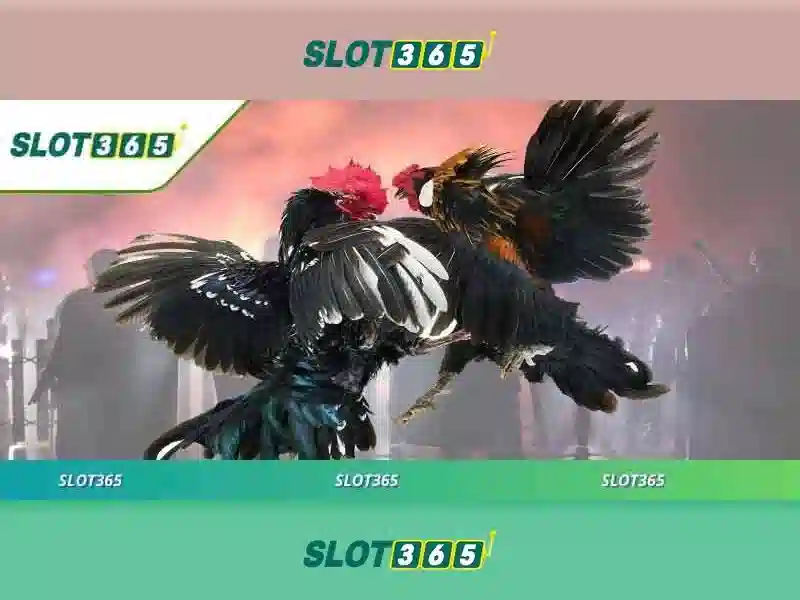 slot365 app – Trải Nghiệm Cá Cược Đỉnh Cao Với Công Nghệ Hiện Đại