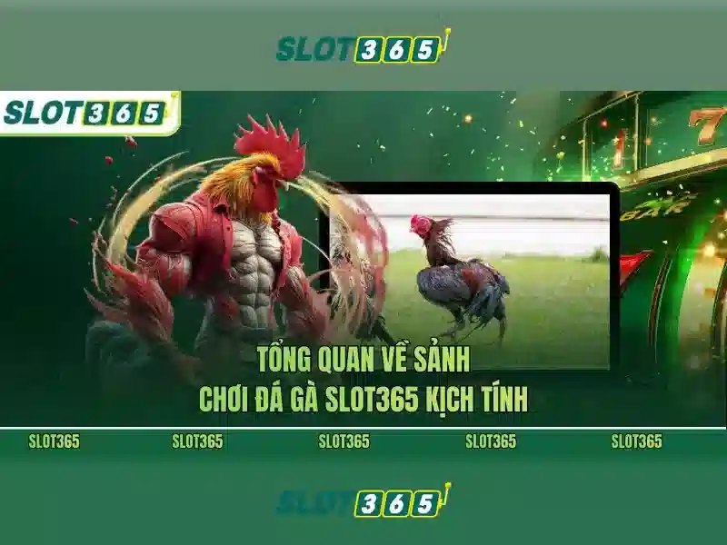 Tải Slot365 APK – Trải Nghiệm Slot Đỉnh Cao Trên Mọi Thiết Bị