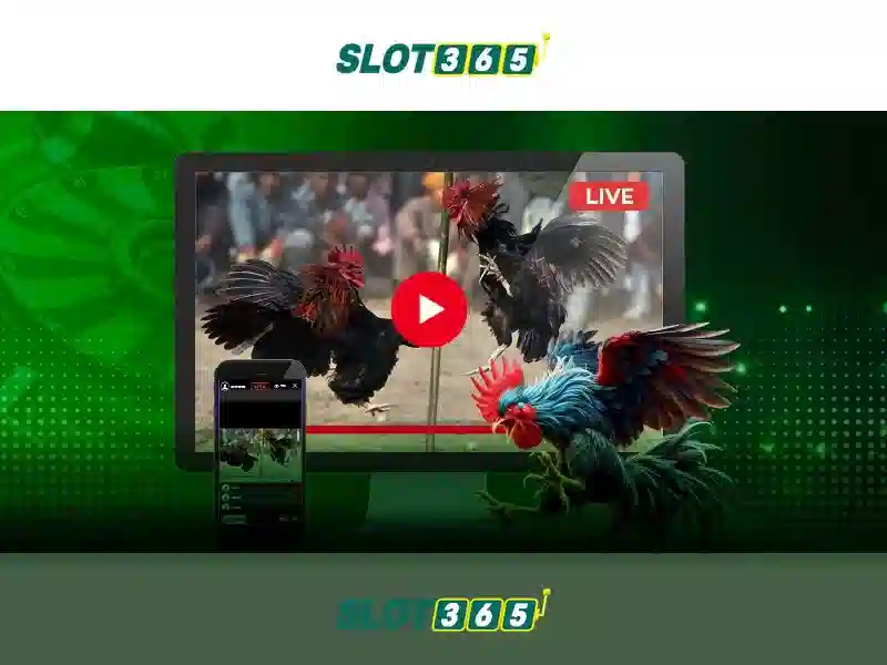 Hệ thống khuyến mãi Slot365