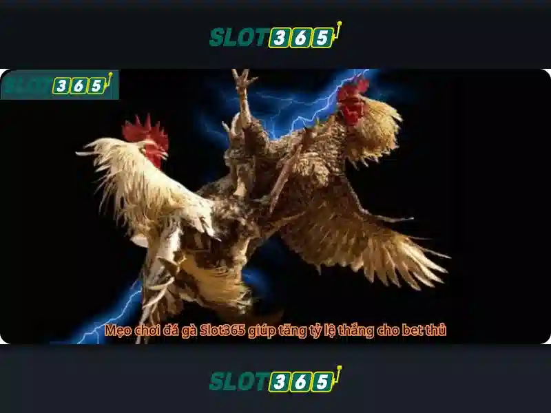 Trải Nghiệm Cá Cược Slot365