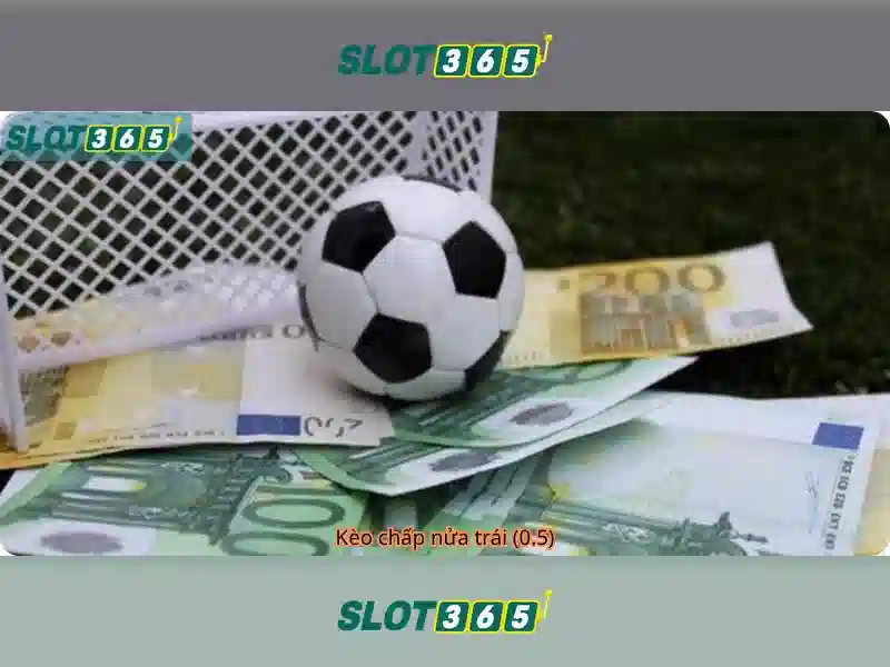 slot365 chơi ngay