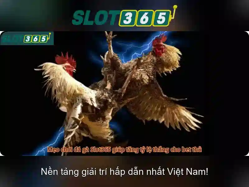 Trải Nghiệm Slot365