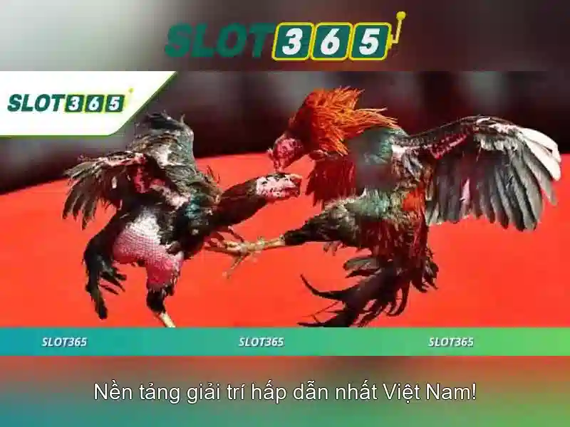 Ưu Điểm Đăng Nhập Slot365