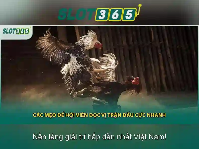 Ưu điểm Slot365