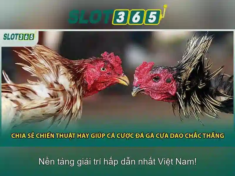 SLOT365 – Trải Nghiệm Trò Chơi Slot365 Com1 Đỉnh Cao