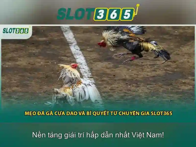 Trải Nghiệm Slot365