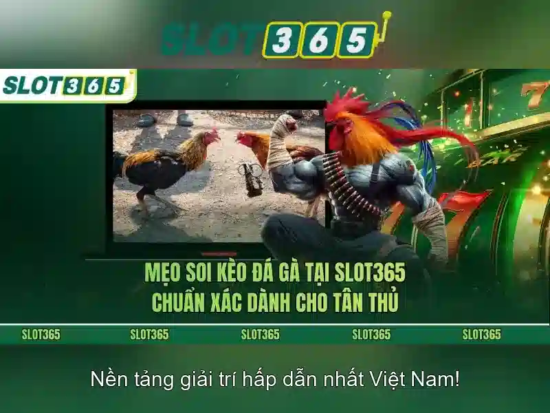 SLOT365