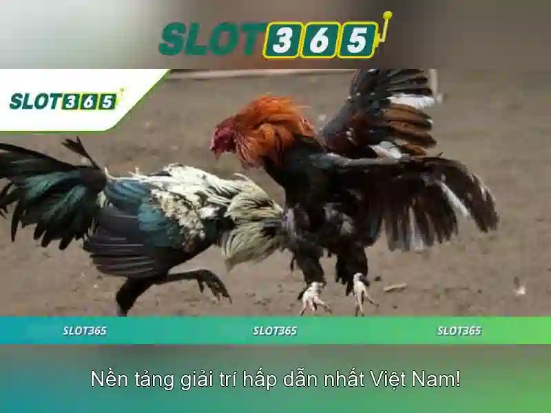 Bảo Mật Nạp Tiền Slot365