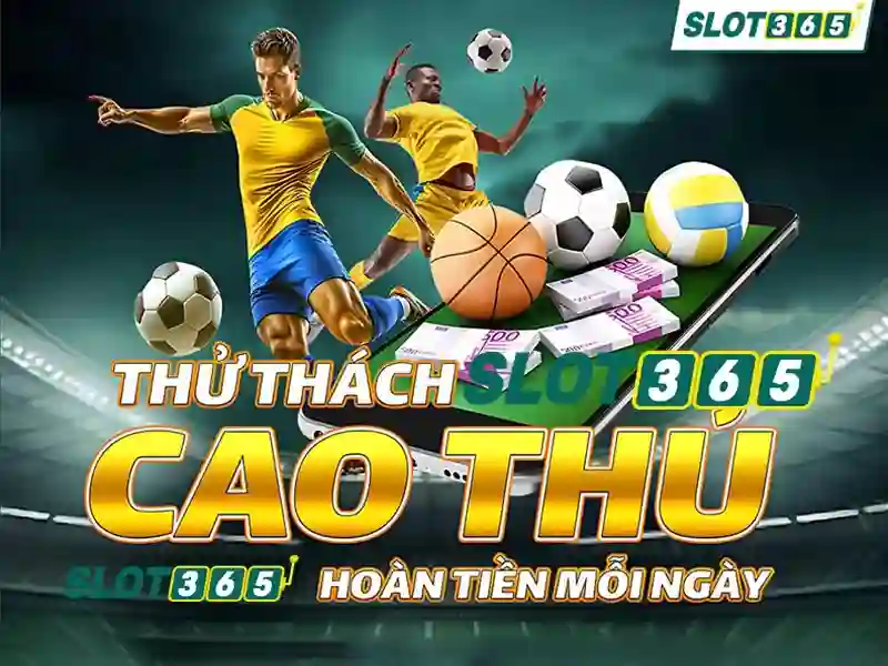 Điều Khoản Và Điều Kiện